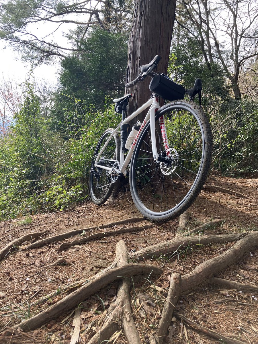 703go_go_'s tweet photo. #RITCHEY SwissCross
新車 #初乗り ❣️
こじらせた風邪で体調イマイチ😷
近所の桜を見るだけにしよう🌸と思ってgo🚴♀️
気持ちの良く走ってたら大好きなお山の近くまで足が伸び🤫
誘惑に負けin⛰️
bikeの特異性に驚きの連続😳‼️
꙳⋆⊂( ⸝⸝⸝°⧿°)⊃こりゃ〜ヤバい相棒💘 https://t.co/UlDH10k5oR
