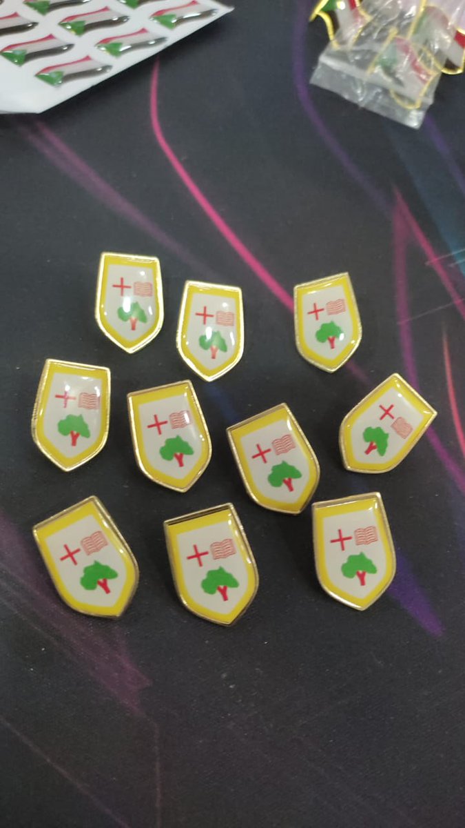 costoyoo's tweet photo. #Maseno #MOBA
Lapel pins now available https://t.co/PG70mIWYTH