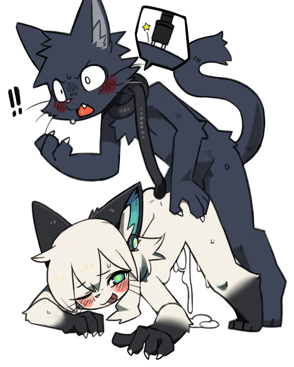 install cat