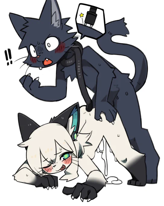 install cat 