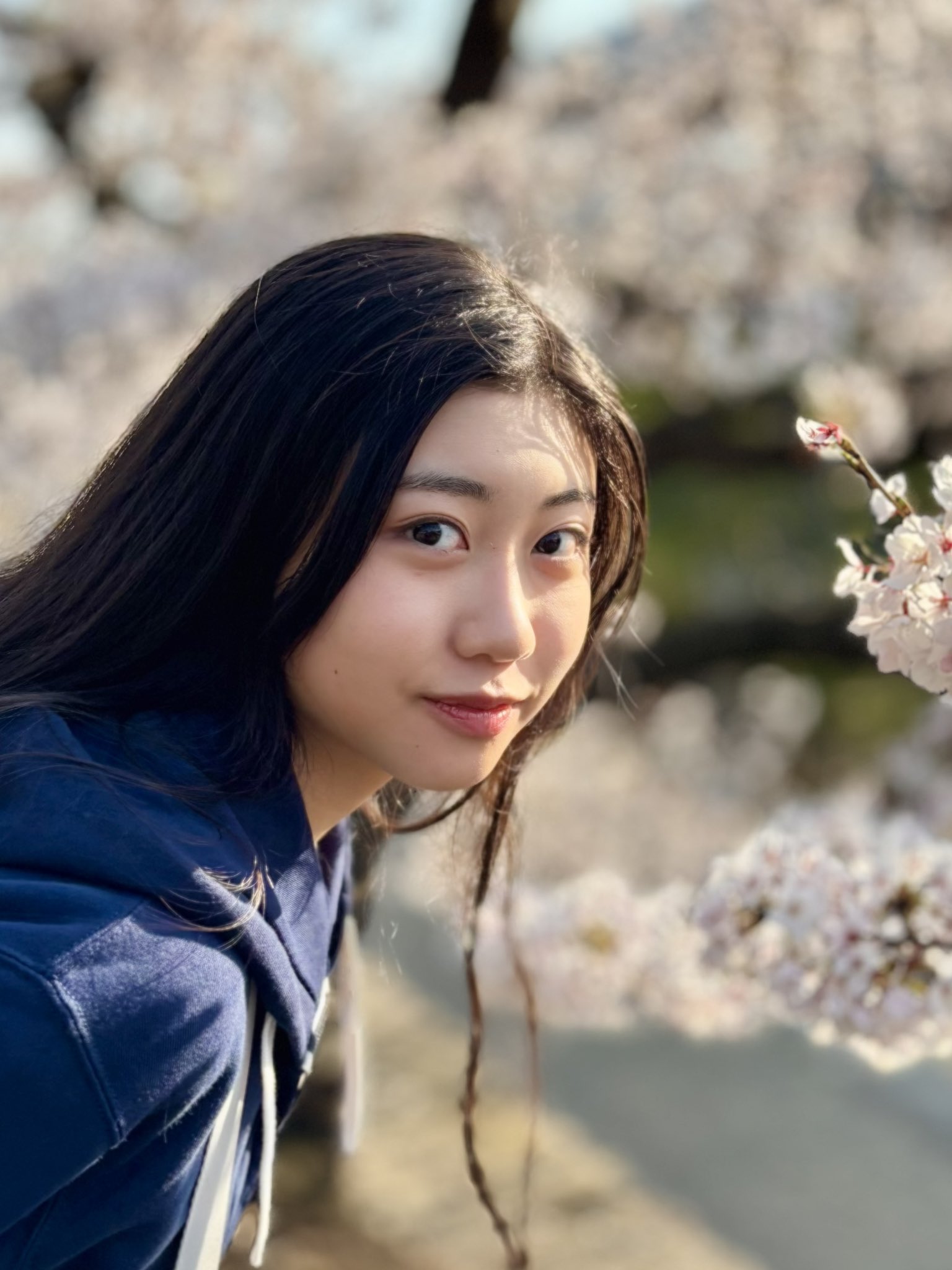 吹雪ページです⭐︎ 桜吹雪 - অনুসন্ধান / X