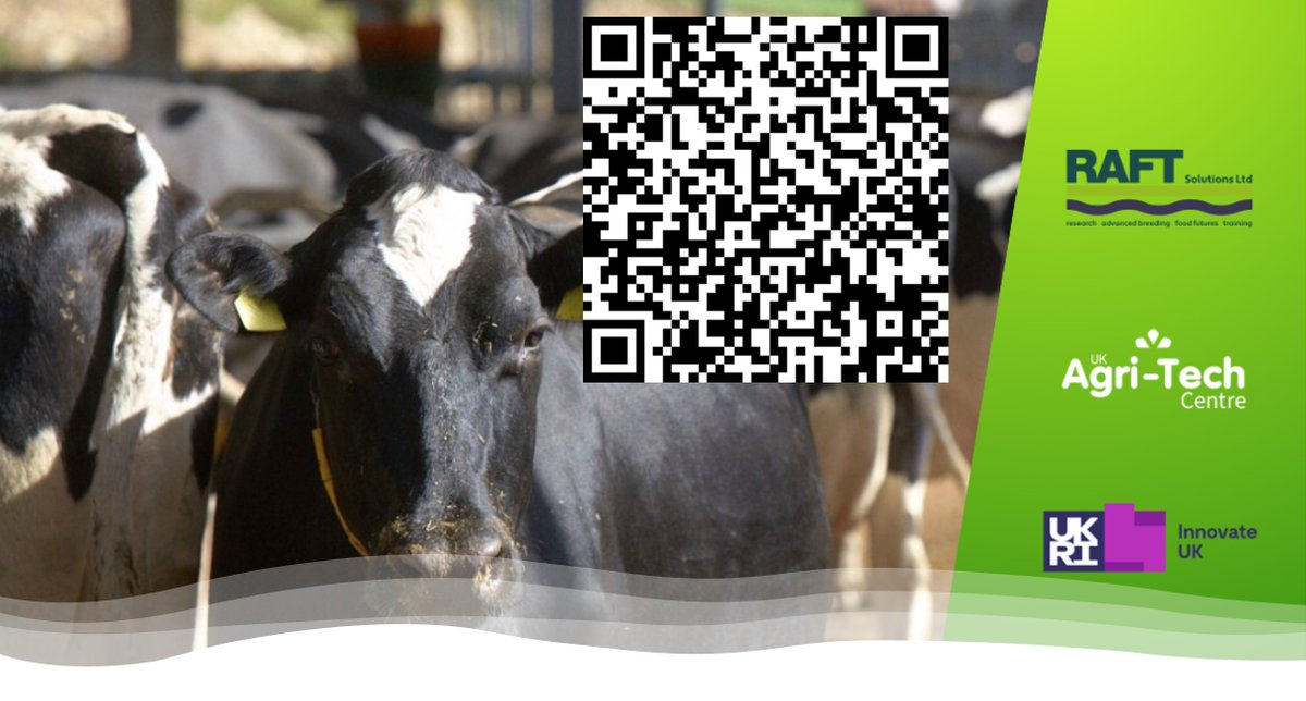 The Cattle Information Service (CIS) tweet media