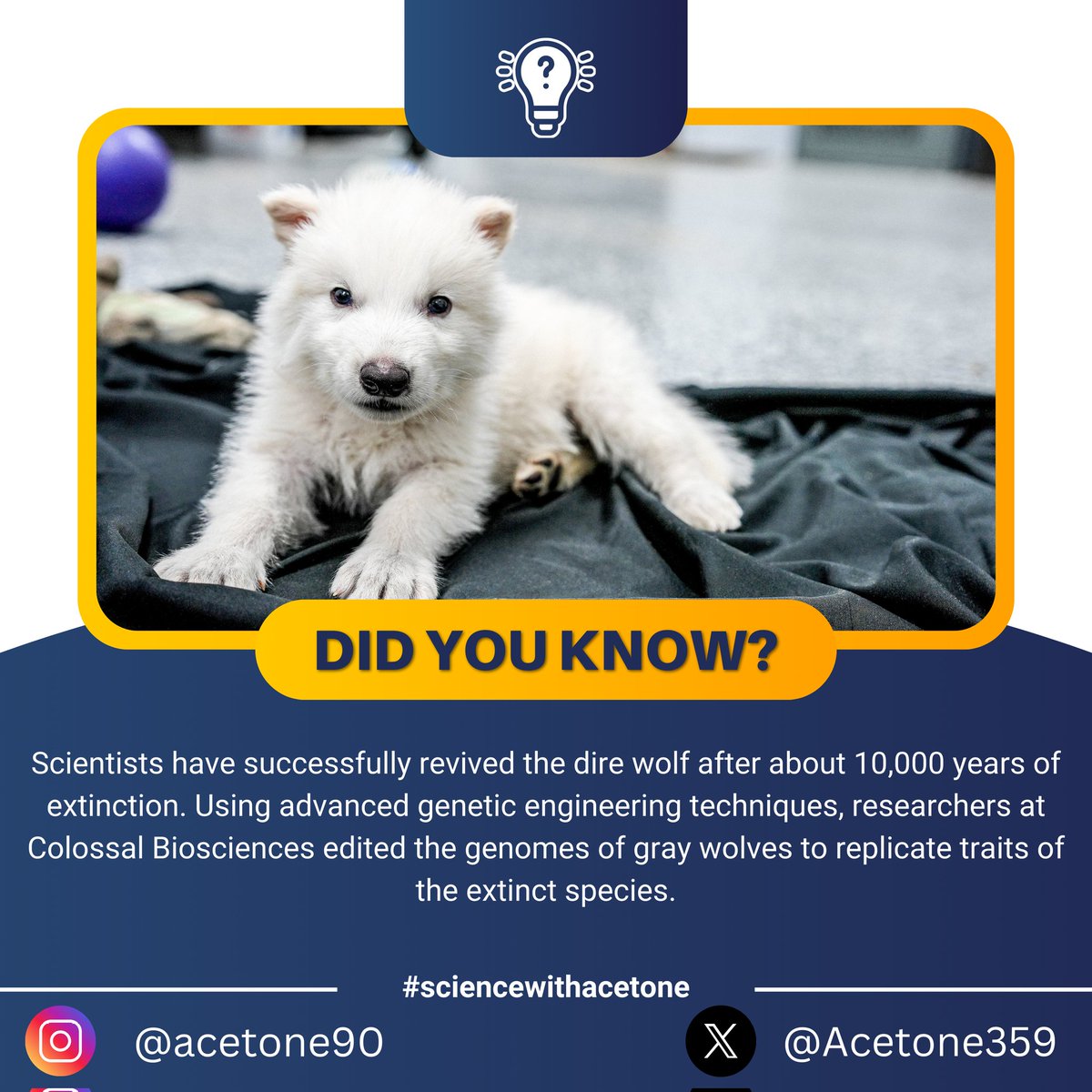 Acetone359's tweet photo. #GeneticEngineering #DeExtinction #DireWolfRevival #ScienceWithAcetone https://t.co/HxgUM2Ju8x