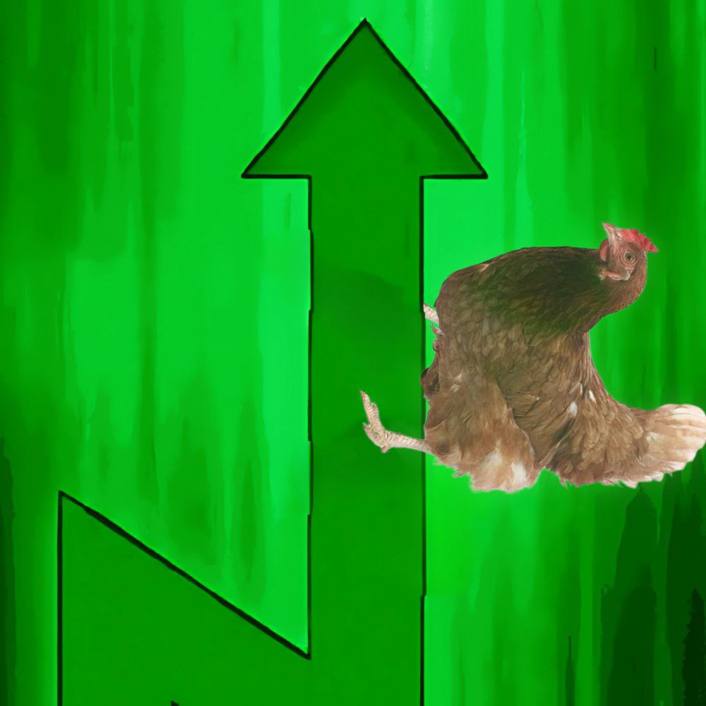 rooster1932's tweet photo. Cockallions. Coded.

#Rooster https://t.co/ts5j3SOgBR