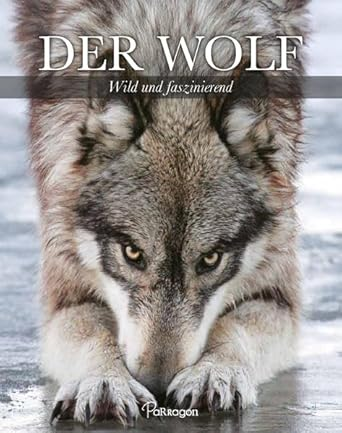 marillion13's tweet photo. Mein Buch "Der Wolf - wild und fasizinierend" (bestellt beim #AmazonMarketplace mit #ISayGutschein) ist grad angekommen, nicht so viel Text, aber wunderschöne Wolfsfotos.
🐺🐺🐺💖💖💖
Ist schon mein 4. Buch über Wölfe.
https://t.co/y6OlLNWDxf
@wolfsschutz https://t.co/u1HBcESltr