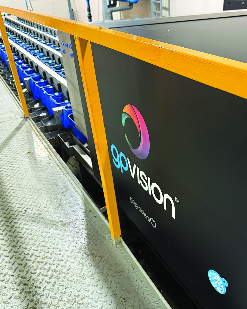 GPGraders's tweet image. gpVision™ machines have processed more then 10,000 tonne of fresh cherries this past southern hemisphere 24/25 season alone.
--
#cherrysorting #cherrygrading #defectdetection #superiorsortingtechnology #gpVision #VisionSorting