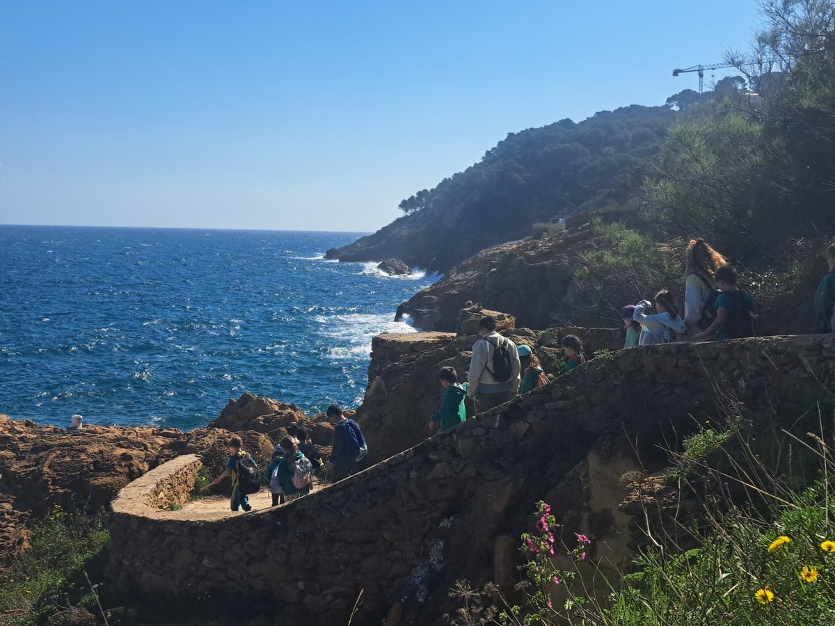 BIOSFERA tweet media