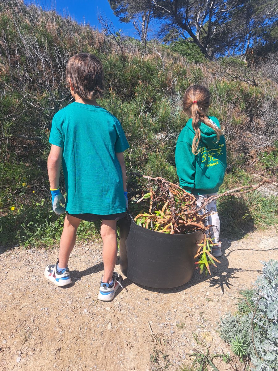 BIOSFERA tweet media