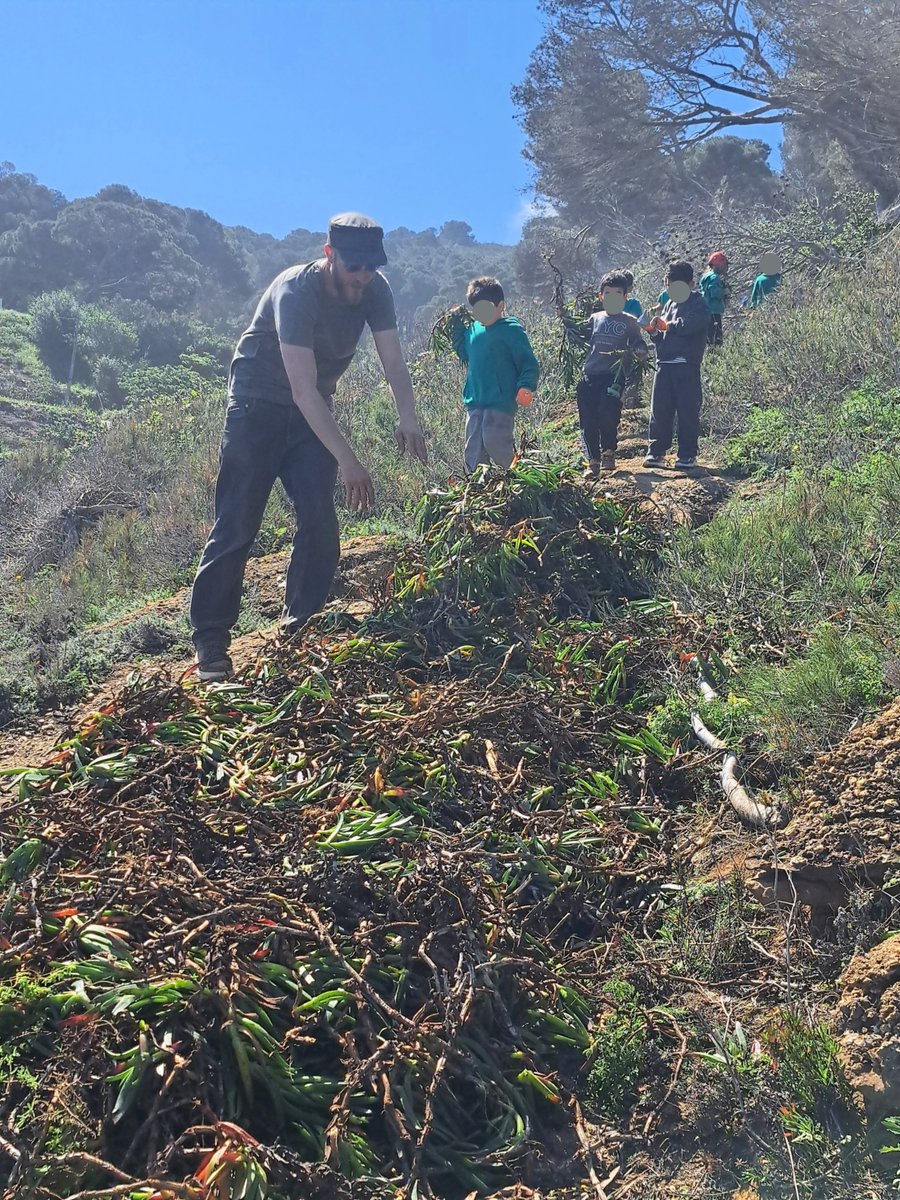 BIOSFERA tweet media