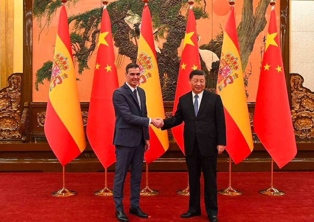 Ada Lluch tweet media