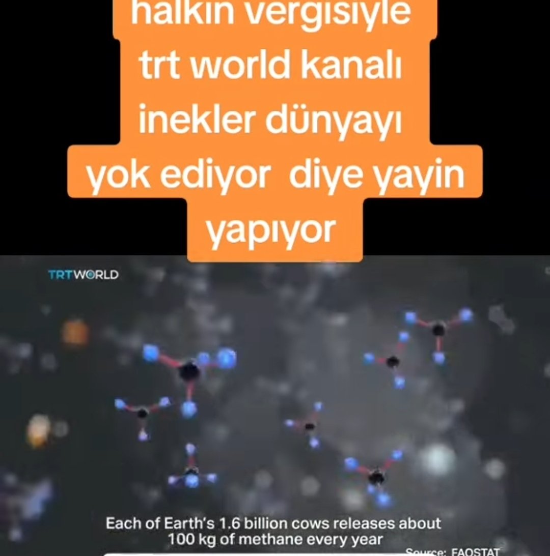 Büyük utanmazlık!
TRT WORLD  inek gazından küresel ısınma olduğunu ve dünyanın öldüğünü iddia eden bir film yapmış.
#yesilsahtekarlık
Metan gazı zararlı değildir. 
Etiyle, sütüyle, derisiyle  insanlara hizmet eden inekleri, düşman ilan edenler, insanlık düşmanıdır. İnsanların en