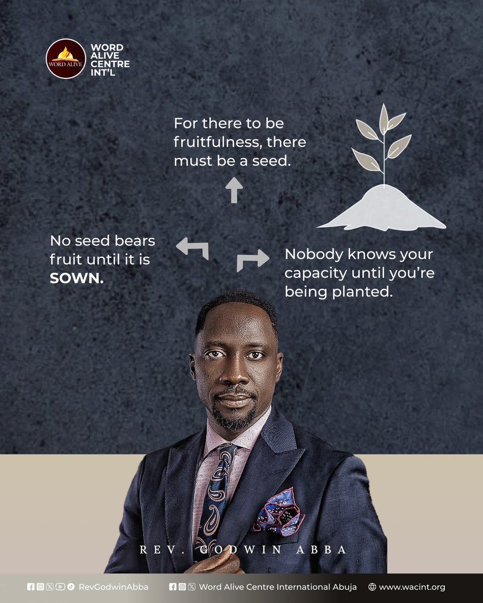RevGodwinAbba's tweet photo. Share these quotes and declare I AM FRUITFUL!
#revgodwinabba #wordalive #quotes #share #excerpts #valid #viralpost https://t.co/66a3WTcnnQ