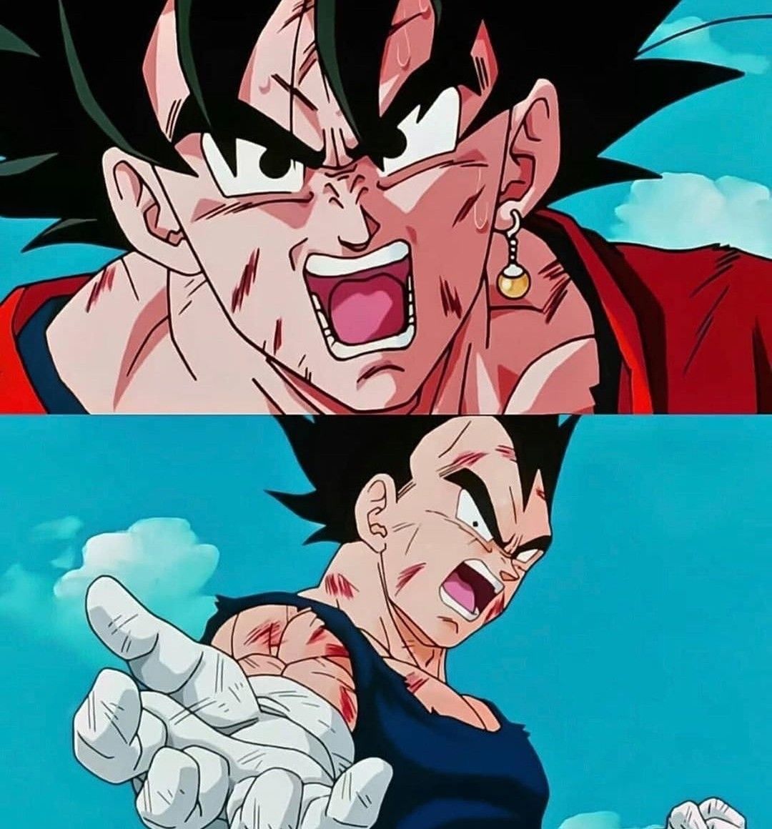 Dragon Ball Daily (@dbzdaily_) on Twitter photo 