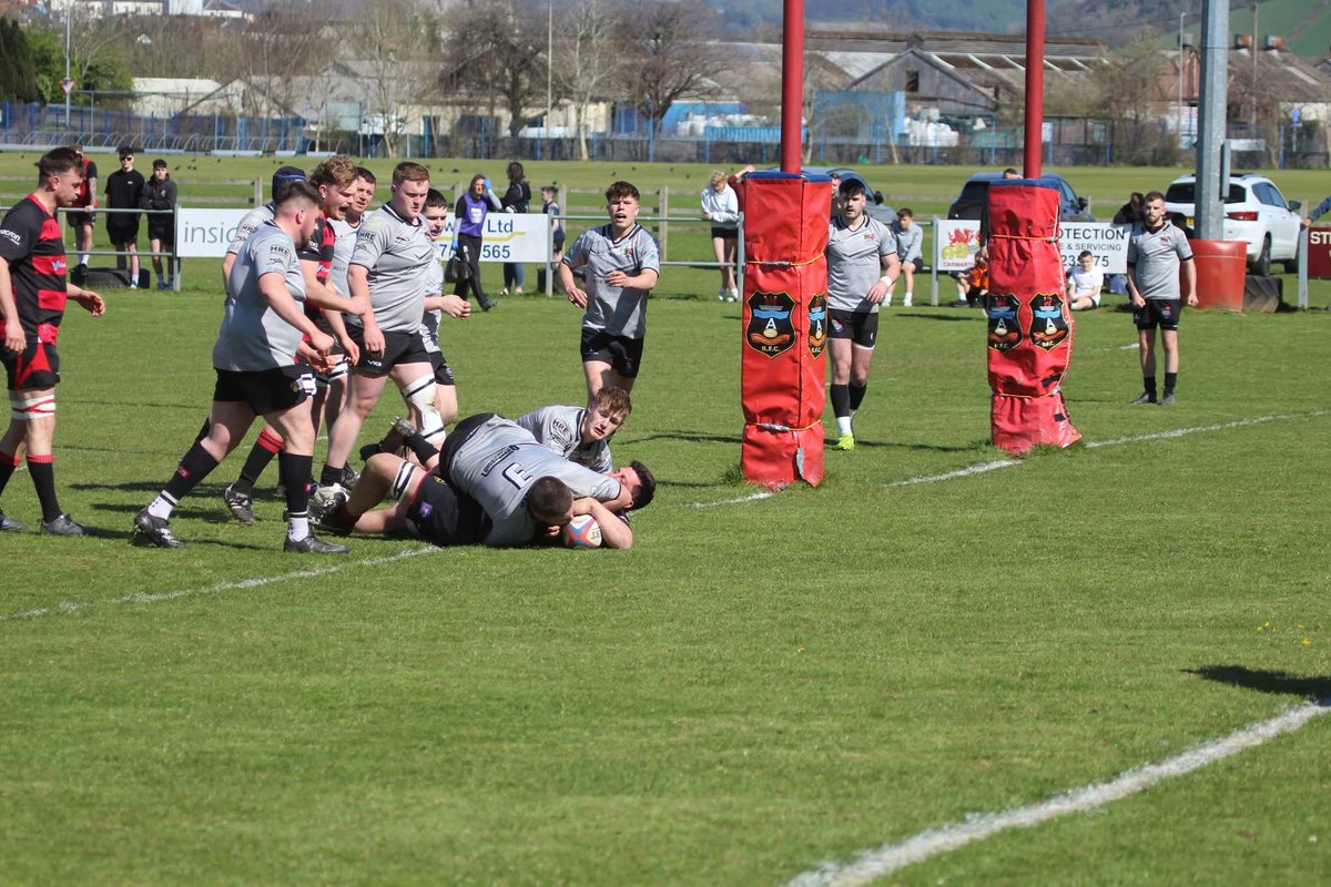 Sue Bows tweet media