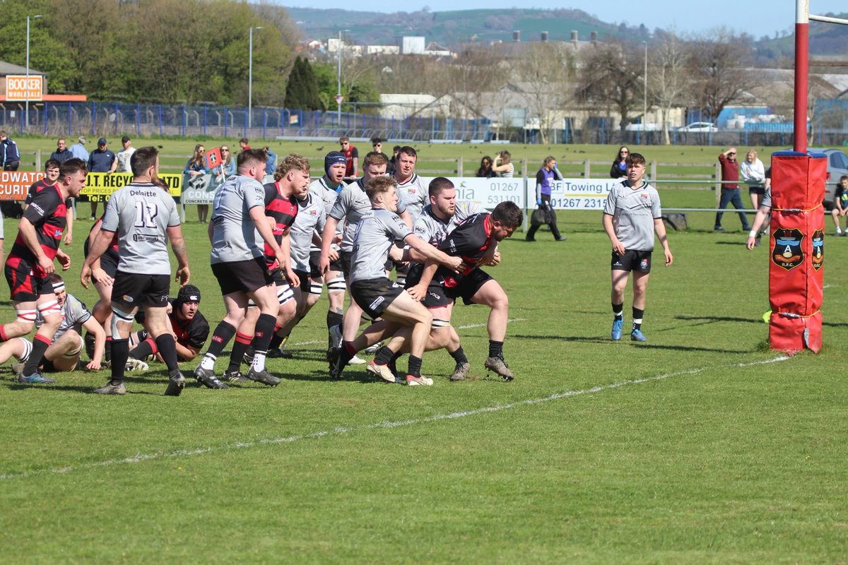 Sue Bows tweet media