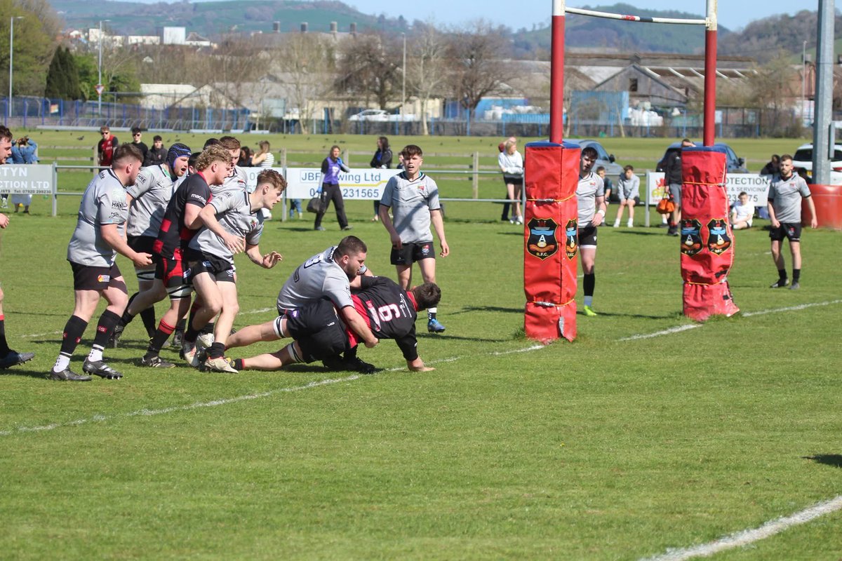 Sue Bows tweet media