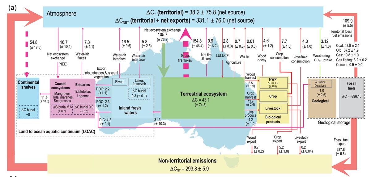 Pep Canadell tweet media