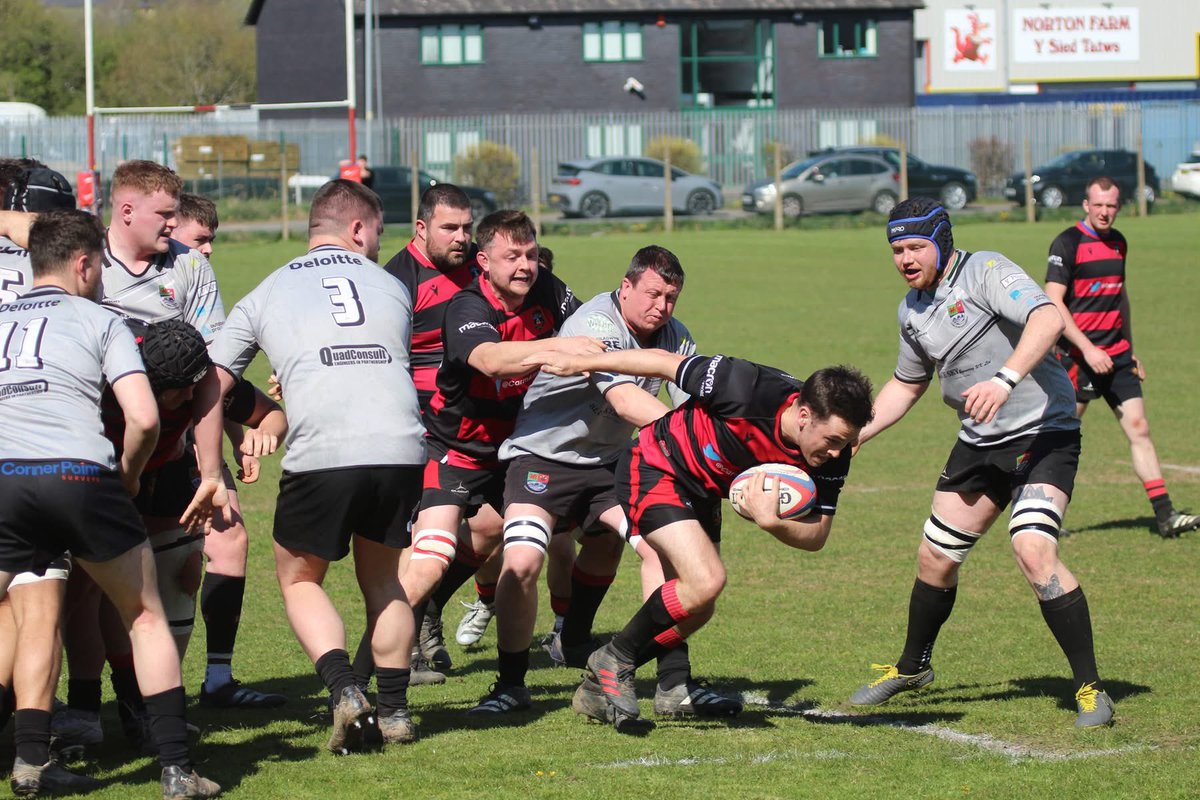 Sue Bows tweet media