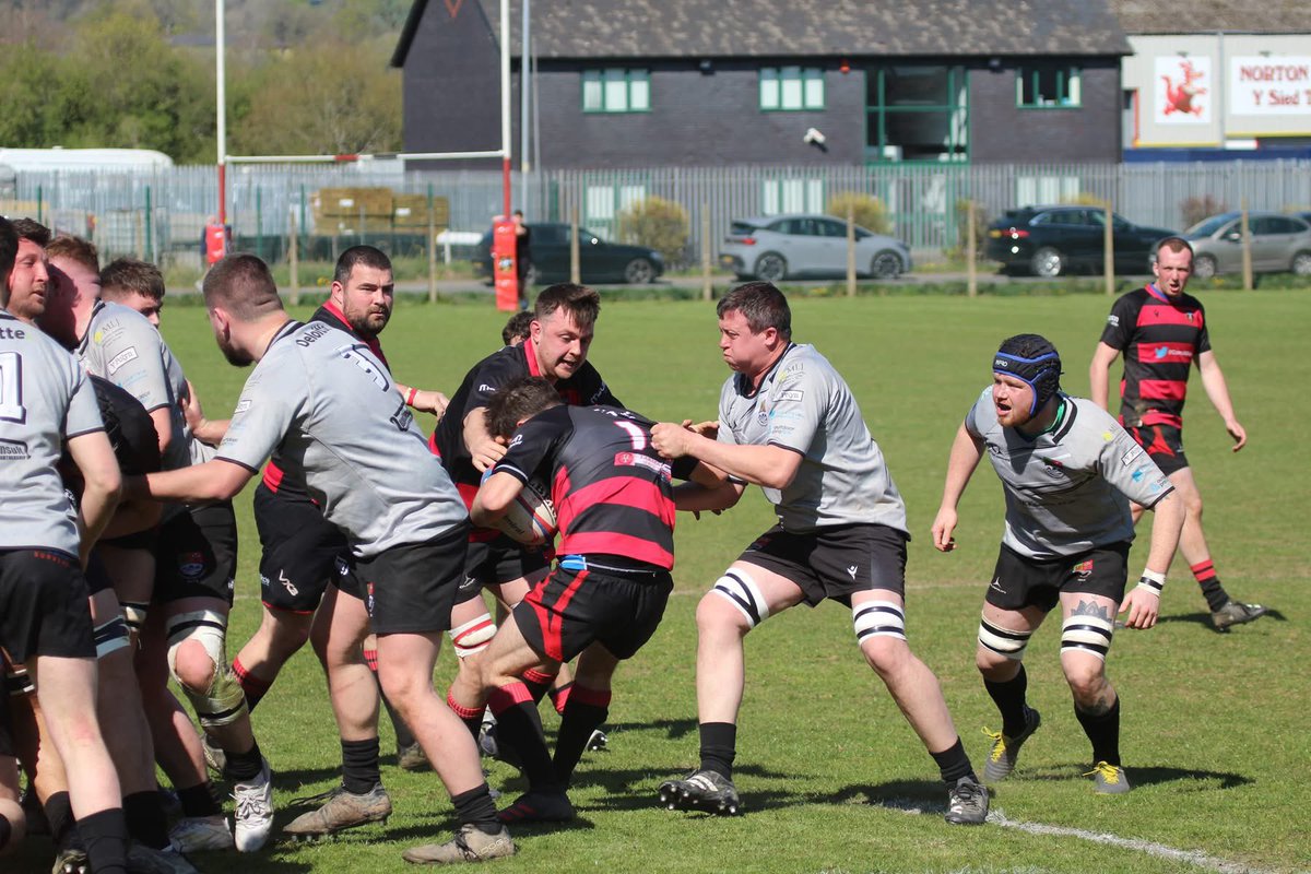 Sue Bows tweet media