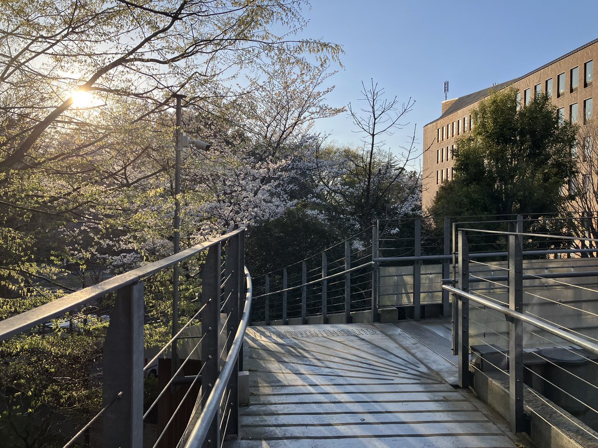 新入生オリエンテーション運営の怒涛の1週間がそろそろ終わりかけ。と思ったら来週から授業開始。この時期は時が経つのはあっという間。