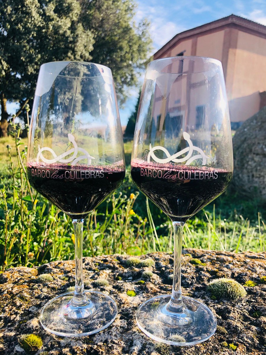 El lujo de disfrutar de vino Barco las Culebras...donde se elabora el vino Barco las Culebras.

🔗 Visita nuestra página web barcolasculebras.com/enoturismo y explora todas las experiencias de enoturismo especialmente diseñadas para tu disfrute.