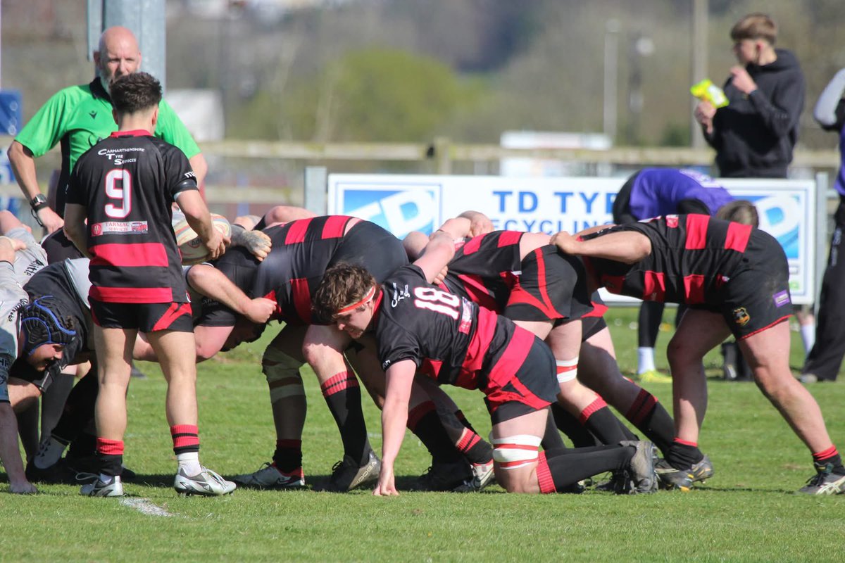 Sue Bows tweet media