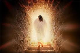 ypma_albert's tweet photo. ¨You belong to what is below,
I belong to what is above.
You belong to this world,
but I do not belong to this world¨.
John 8:21-30
8/4/2025
#TwoKingdoms https://t.co/Z4JLaTzJBI