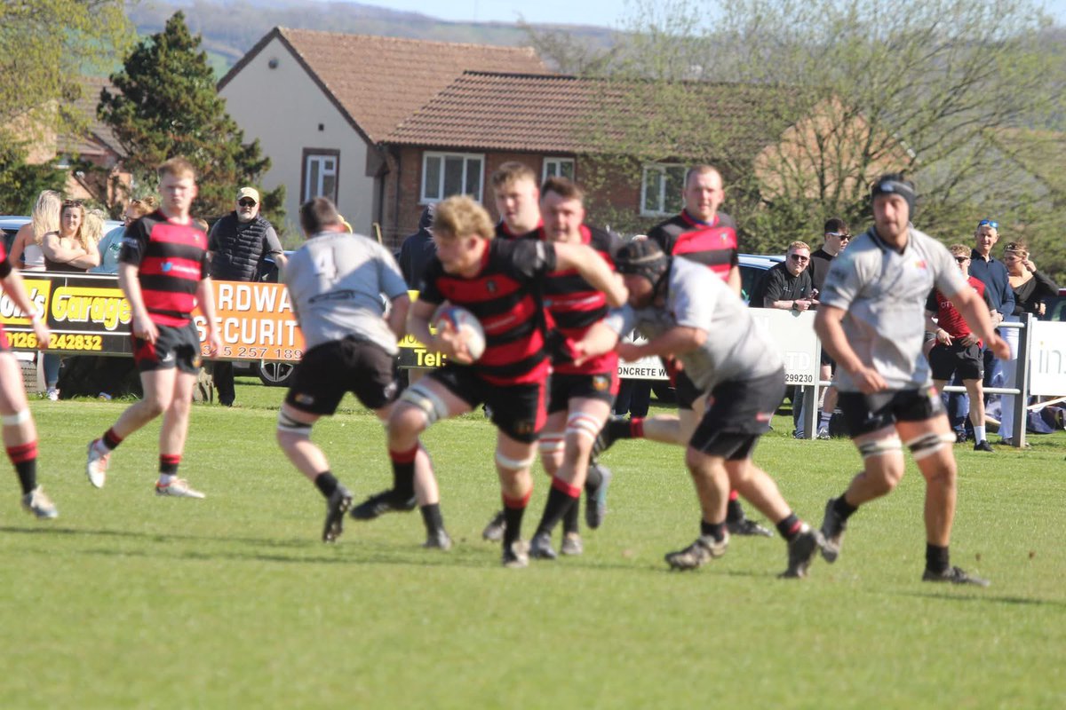 Sue Bows tweet media