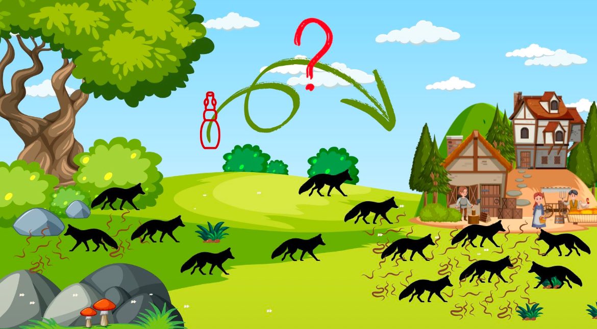 “Diversity of Small Intestinal Helminth Infracommunities in Ca
Read the full preprint: lnkd.in/dazV4WXk

#OneHealth #Parasitology #Zoonosis #Echinococcus #WildlifeHealth #Research #Epidemiology #PhDResearch #SSRNPreprint #Helminths #Carnivores #HumanImpact #WildlifeDisease