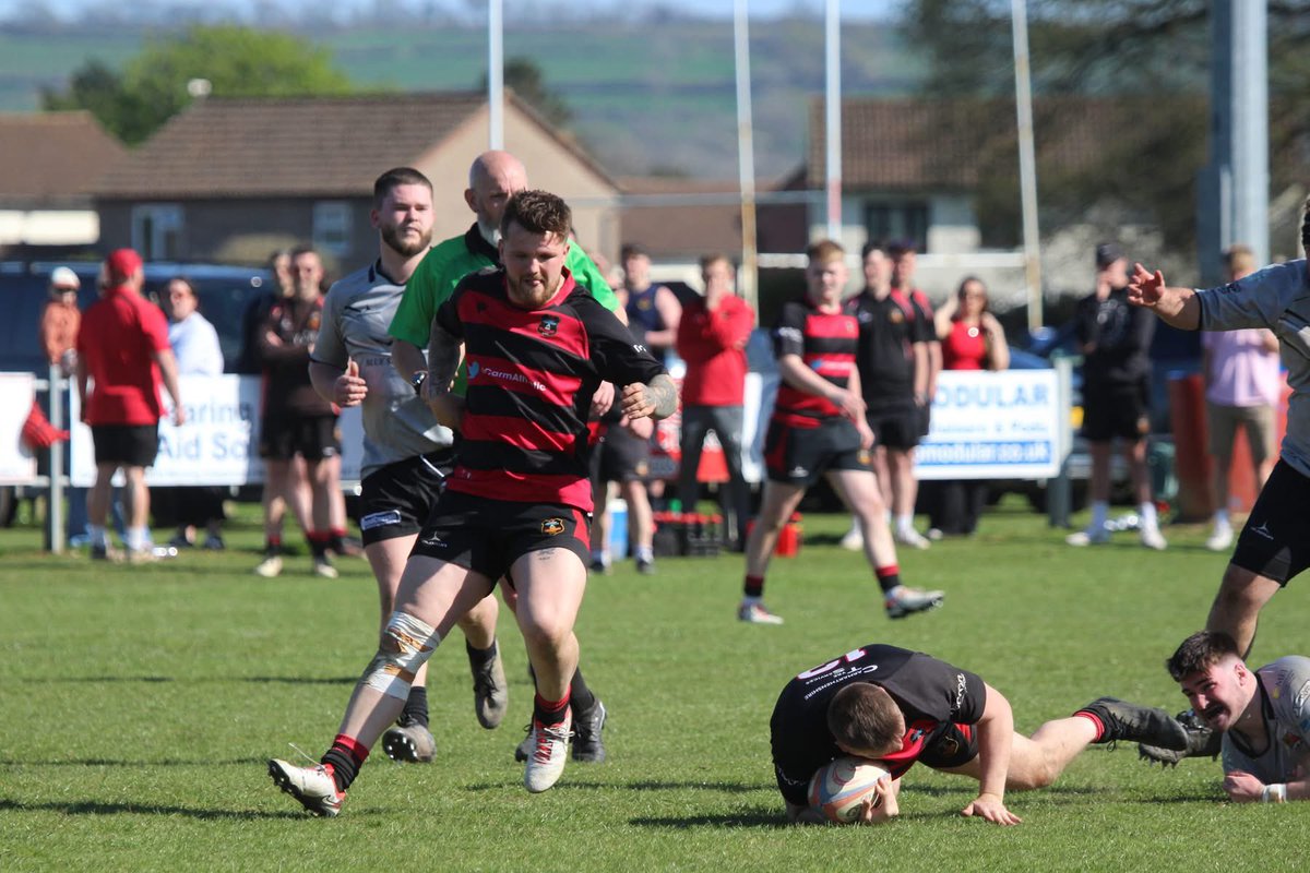 Sue Bows tweet media