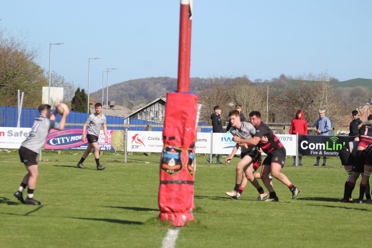 Sue Bows tweet media