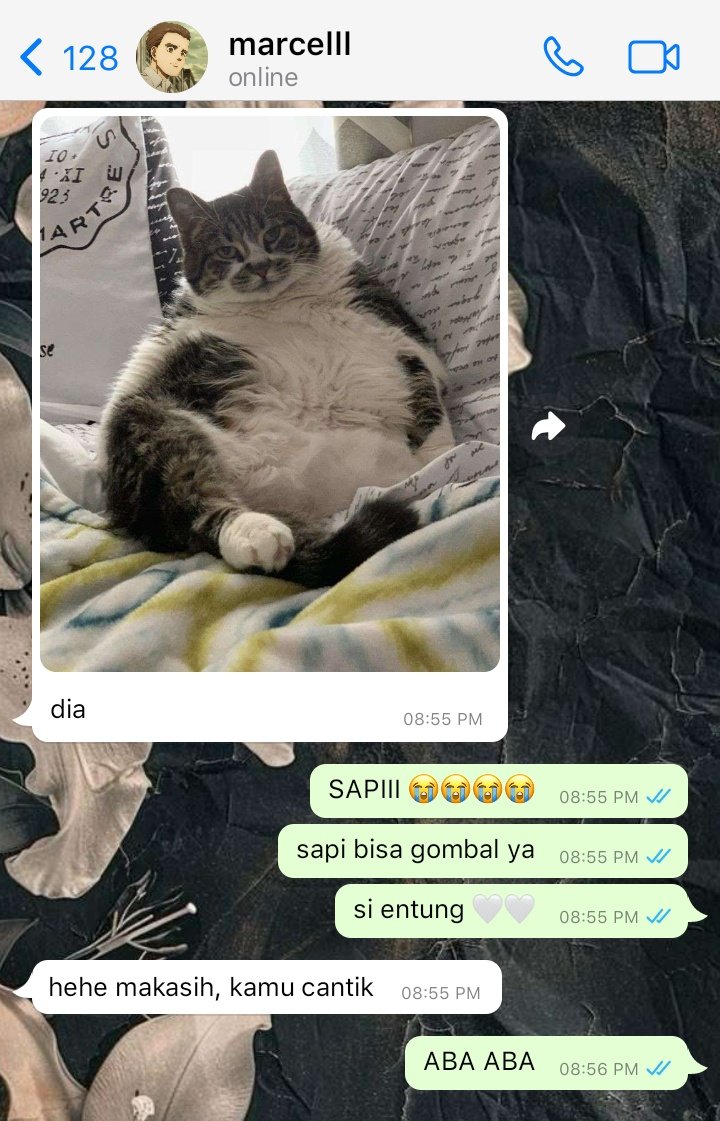 spinosaurrx's tweet photo. #aot few tweets au
marcel galliard (21) x fem!reader

setiap hari ada aja pembahasan nya kalau sama marcel

©spinosaurrx https://t.co/oXvAinWCs4