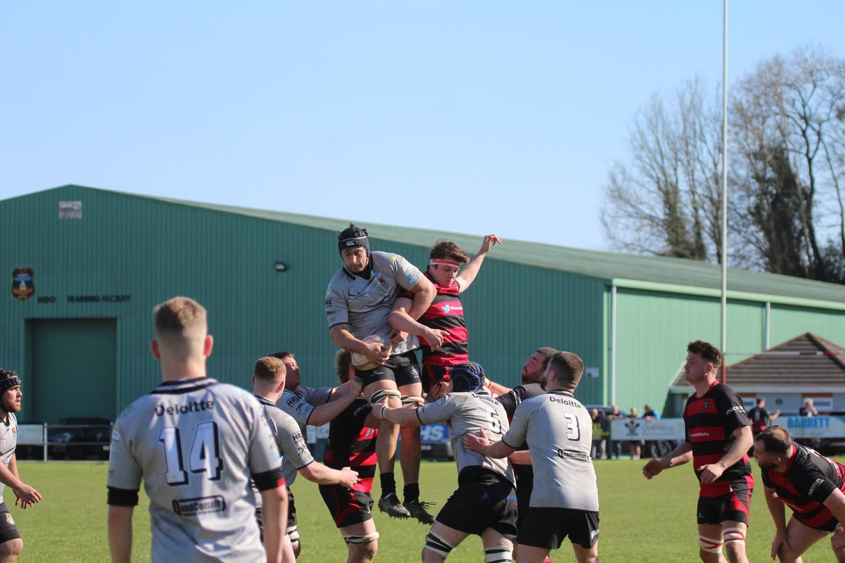 Sue Bows tweet media