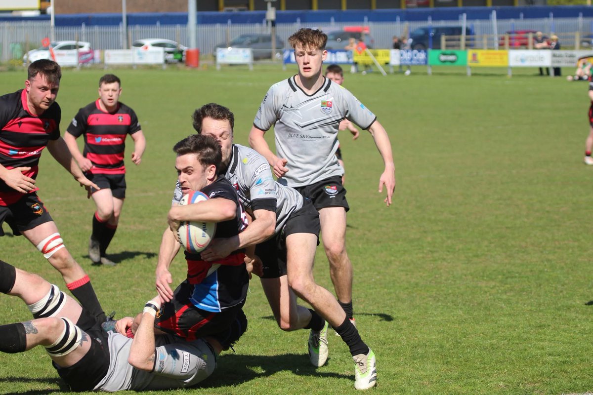 Sue Bows tweet media