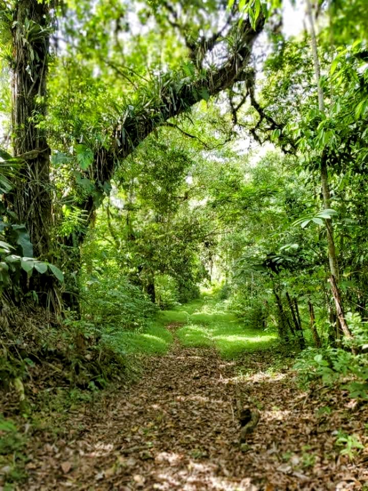 CaroleBeckford's tweet image. Time for some adventure #TuesdayScenes @jahmekyagyal 🇯🇲