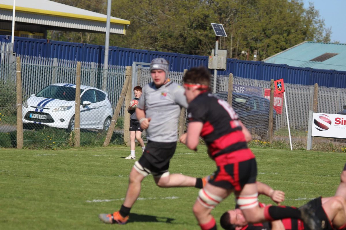 Sue Bows tweet media