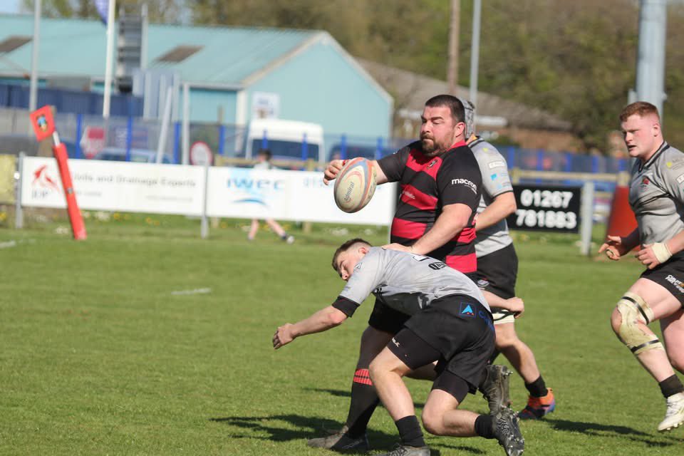 Sue Bows tweet media