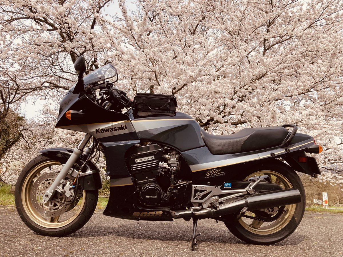 #これを見た人は愛車の背景が桜の画像を貼れ