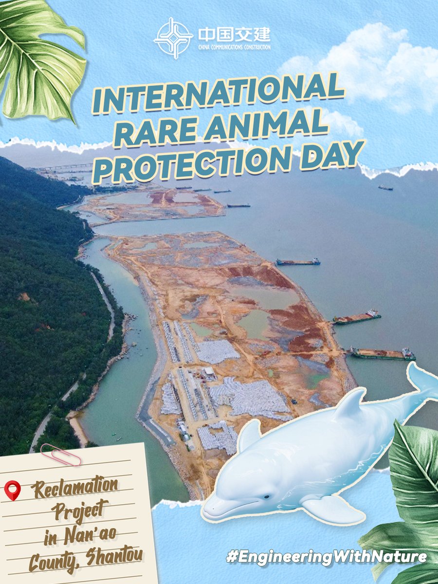 CCCCLTDofficial's tweet photo. 🐬How can infrastructure and ecology thrive together? From Peru to Malaysia, Ghana to #Guangdong, #CCCC protects rare wildlife—from sea turtles to hornbills and dolphins. On International Rare Animal Protection Day, we celebrate #EngineeringWithNature!🦜 https://t.co/Yr7zbJwVLh