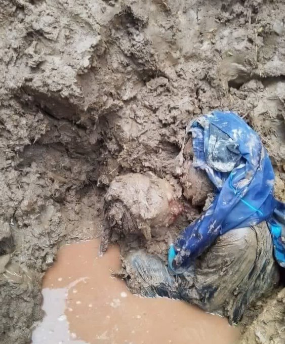 masoudpirayesh's tweet photo. ببار ای بارون ببار
با دلم گریه کن خون ببار
در شبای تیره چون زلف یار
بهر لیلی؛ چو مجنون ببار ای بارون..
دلا خون شو خون ببار؛ بر کوه و دشت و هامون ببار
به سرخی لبای سرخ یار… به یاد عاشقای این دیار
به کام عاشقای بی مزار؛ ای بارون…
المثتغاث بک یا صاحب الزمان 😭
#غزة_تحت_القصف https://t.co/wFvoFfoShP