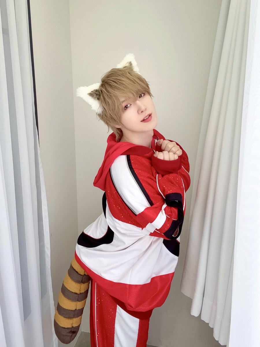 ayanoren_ReL's tweet photo. 推しのアイドルがレッサーパンダだった!
に使っていいよ❤️ https://t.co/Q5l3cr6c5r