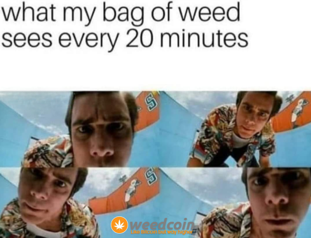 weedcoinOG's tweet photo. On average, a stoner checks their weed bag for the dankest buds every 10-20 minutes while awake - Weedcoin

Source - Me 

21nnfR4TkbZNLwvRrqEseAbz7P3kxKjaV7KuboLJpump https://t.co/ZF4O0akb4a