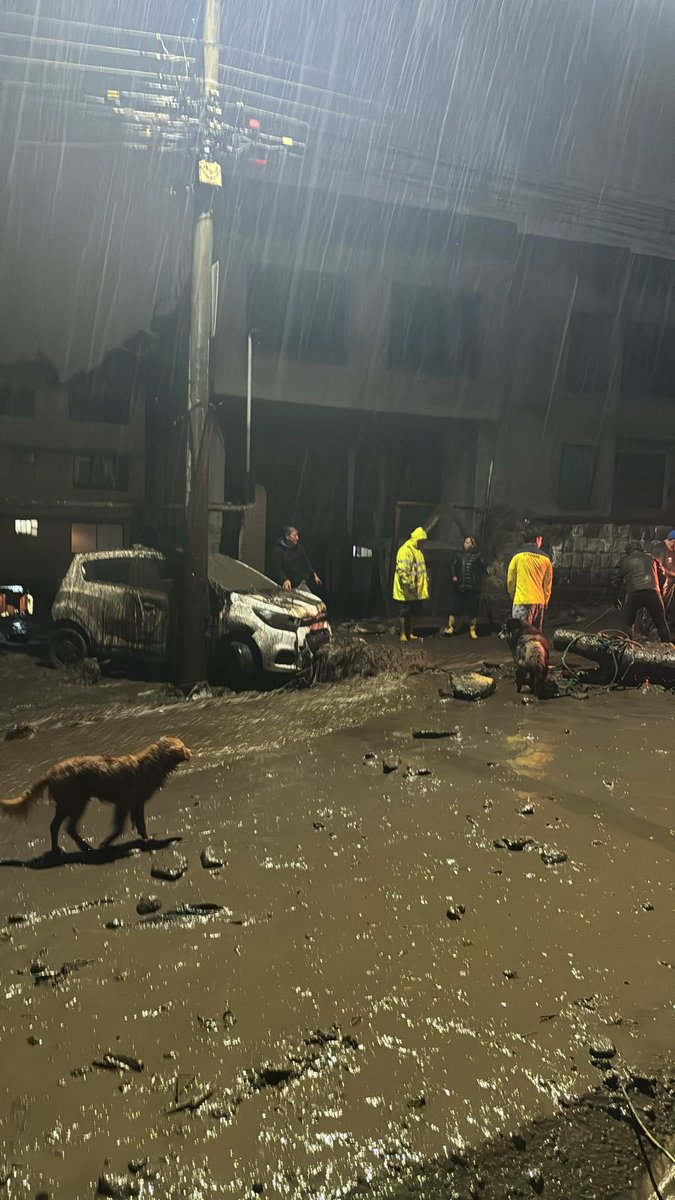 jpriwal's tweet photo. Deslave Valle de los Chillos, Puente 3, calle Nela Martínez
#deslave 
#lluvias 
#quito https://t.co/HIBF66X85S