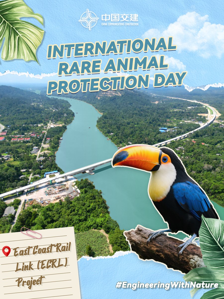 CCCCLTDofficial's tweet photo. 🐬How can infrastructure and ecology thrive together? From Peru to Malaysia, Ghana to #Guangdong, #CCCC protects rare wildlife—from sea turtles to hornbills and dolphins. On International Rare Animal Protection Day, we celebrate #EngineeringWithNature!🦜 https://t.co/Yr7zbJwVLh