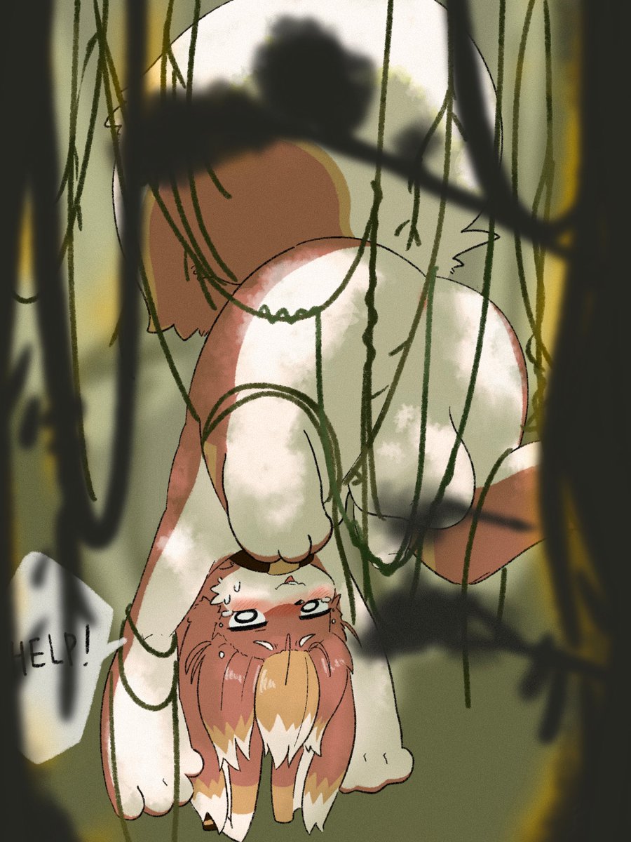 にこみ tweet media