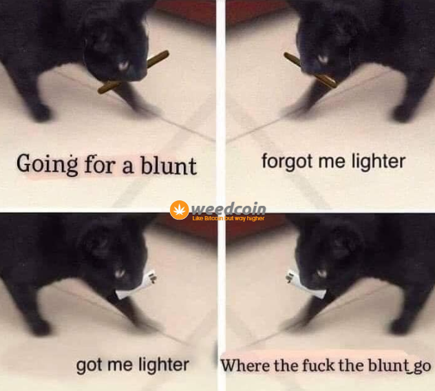 weedcoinOG's tweet photo. Nothing worse than forgetting where your cat put your blunt - Weedcoin 

21nnfR4TkbZNLwvRrqEseAbz7P3kxKjaV7KuboLJpump https://t.co/HO6ipkvtkP