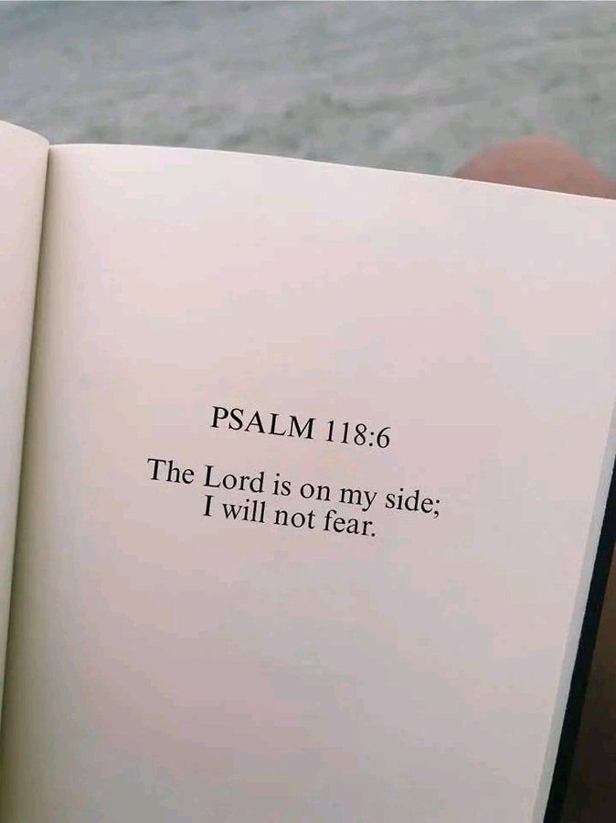 Bible 365 tweet media