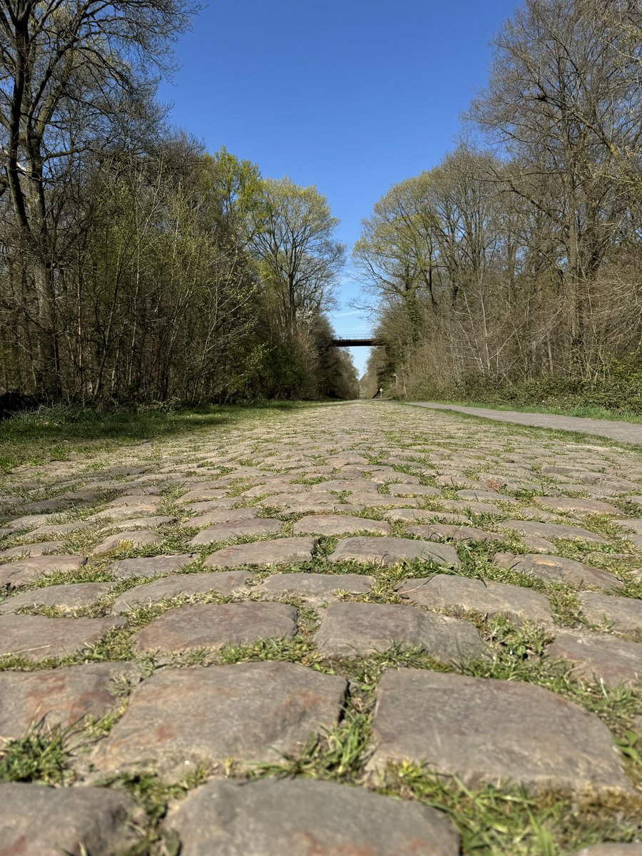 𝗔𝗥𝗘𝗡𝗕𝗘𝗥𝗚 😈🙌

#ParisRoubaix