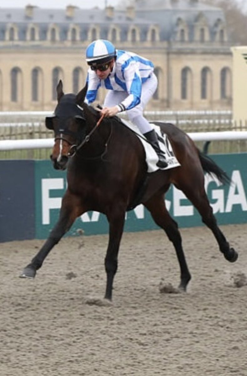 lefebvrefabien1's tweet photo. 🌟Sunday🌟 at Le Lion D’Angers🇫🇷:

- 🥉 #Minotauros🐎 
- 5️⃣ #PrincessLaura🐎

Photo: @AprhChantilly 

Agents:

Lisa Pauwels🇧🇪
@Benjhub🇫🇷 https://t.co/c5KOJjmWKI