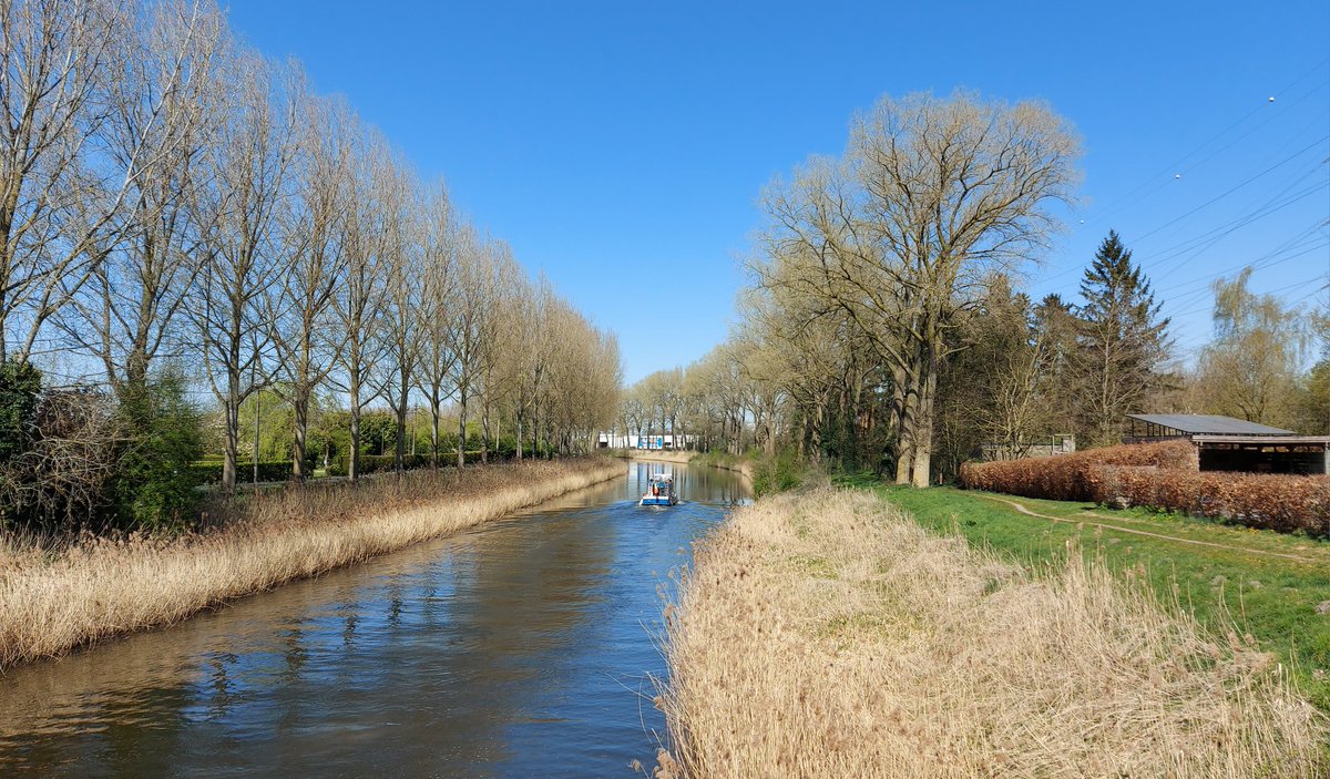 TimmermanWilly's tweet photo. #vrtweer ,Adegem ,11.10 uur, https://t.co/kkNTIIeDan